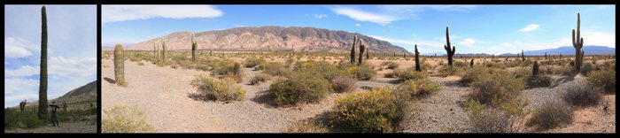 Argentine Vallée de Los Cardones Ekla