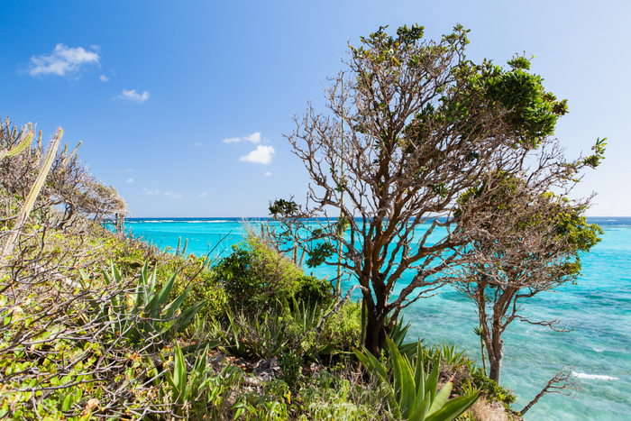 Tobago Cays