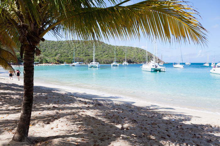 Mayreau Salt Whistle Bay Ekla